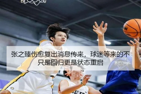 张之臻伤愈复出消息传来，球迷等来的不只是回归更是状态重启 - bet365